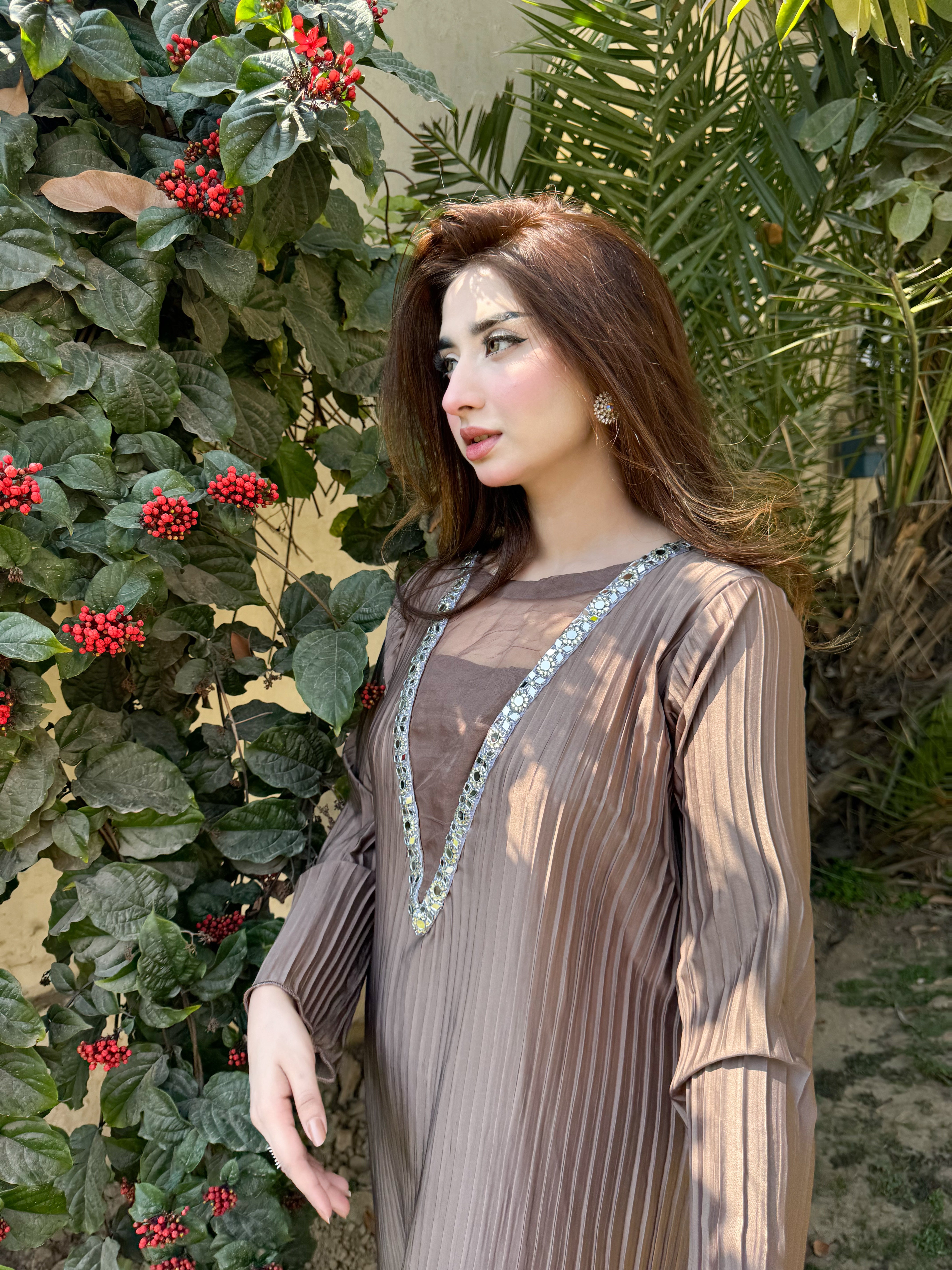 Mocha Elegance Embellished Dress