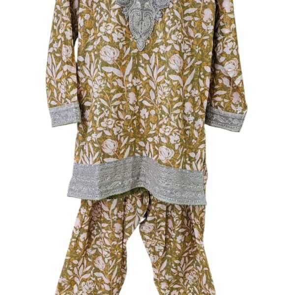 Printed Lawn Pret 2025